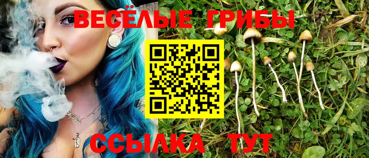 Ессентуки  Галлюциногенные грибы мухоморы  Вход с VPN 